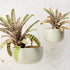 Angus & Celeste Glazed Earth Hanging Planter - Ash Grey